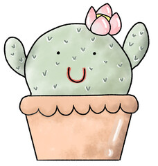 Cactus blooming in a pot