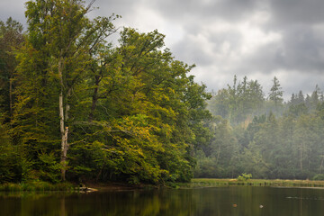 Ein Weiher in einem Herbstwald. Leichter Nebel im Hintergrund.