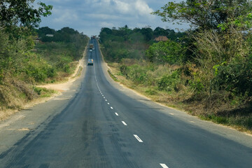 winding road in the forest