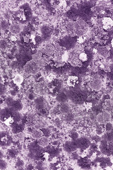 Monochrome nature patterns of colored mosses and lichens, natural texture background, Close-up surface covered with white violet color moss, macro short, top view photo micro plants natural