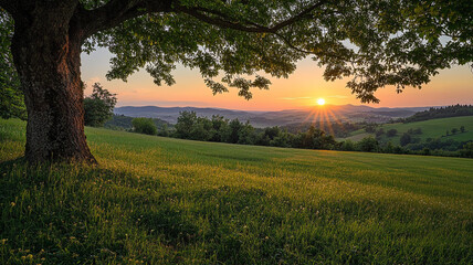 Fototapeta premium Sunset over rolling hills with a lone tree on a grassy hillside in the countryside