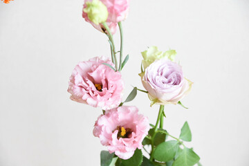 薔薇とトルコ桔梗