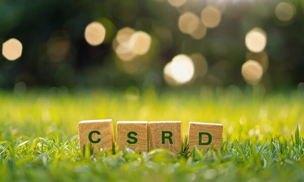 CSRD Blocks on Grass with Bokeh Lights