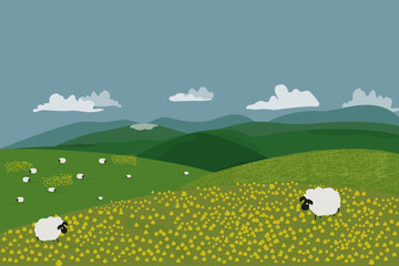 Green glade horizontal wallpaper, flowers, clouds, sheep on the green lawn. Ecological, non-urban, rural landscape. Vector flat illustration © luamor