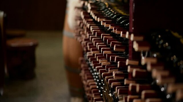 Row of wine bottles on a wooden shelf in a wine cellar