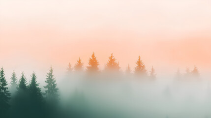 Obraz premium Forest with trees in the background and a foggy sky