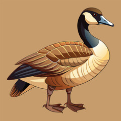 Canadian goose vector art illustration and artwork 