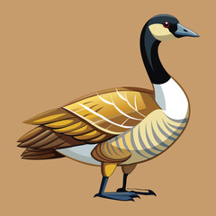 Canadian goose vector art illustration and artwork 