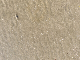 Clean grainy wet sand background