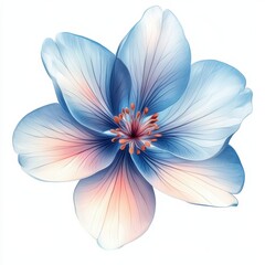 A delicate blue and peach flower illustration, perfect for nature-themed designs or spring decor.