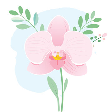 Pink Watercolor Orchid