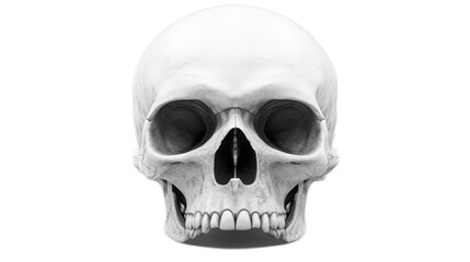 Fototapeta premium Skull Illustration Isolated On Transparent Background 