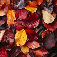 Fototapeta premium A close-up view of fallen leaves in various shades of red, orange, and yellow. The leaves are scattered across the ground, creating a vibrant and textured surface. 