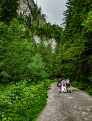 Obraz premium Majestic Polish Tatra Mountains – Nature's Landscape in the Western Tatras