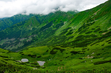 Obraz premium Majestic Polish Tatra Mountains – Nature's Landscape in the Western Tatras