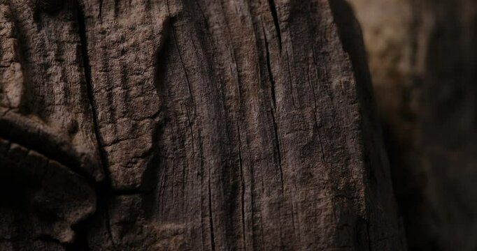 A close-up surface of wood showcasing deep cracks and natural grooves, highlighting its aged and rugged texture. organic patterns of weathered wood, perfect for nature and outdoor design themes.