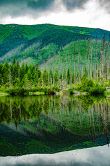 Fototapeta premium Majestic Polish Tatra Mountains – Nature's Landscape in the Western Tatras