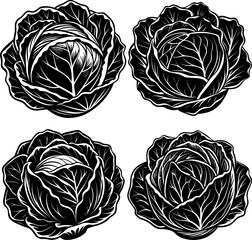 set of cabbage silhouette vector illustration