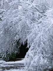 Winterwetter mit Schnee am Grab im Park
