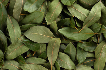 Bay leaves background. Top view.