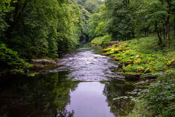 Walking along the river Wharfe in summer in Yorkshire, England