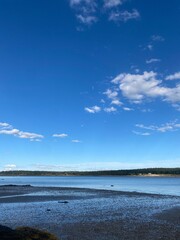 The rocky shoreline at a cove in Down East Maine 