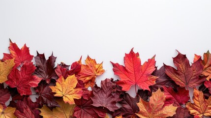 Fototapeta premium A cluster of autumnal leaves on a clean white background