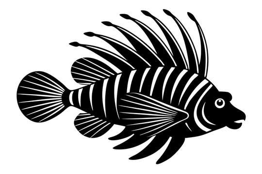 Sea Lion clip art preview