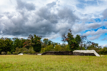 Brennholz lagert auf einer Wiese mit sehr alten Obstbäumen © focus finder