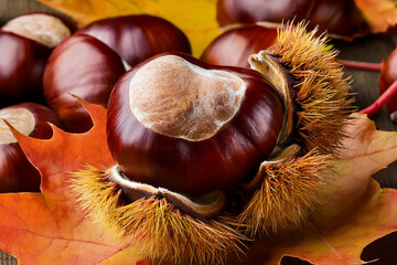 秋の味覚栗と落ち葉