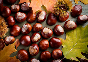 秋の味覚栗と落ち葉