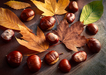 秋の味覚栗と落ち葉