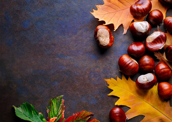 秋の味覚栗と落ち葉