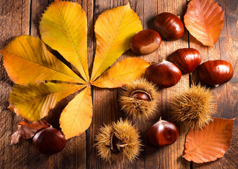 秋の味覚栗と落ち葉