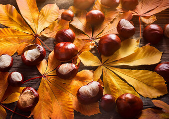 秋の味覚栗と落ち葉