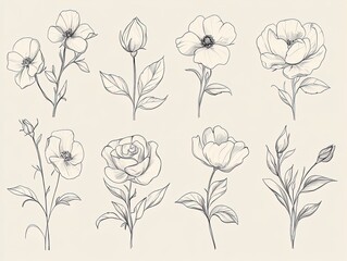 Minimalist Floral Outlines: Elegant Rose and Peony Designs for Monochromatic Wall Art, Perfect for Invigorating Your Sports Interior with Organic Shapes and Graceful Blooms