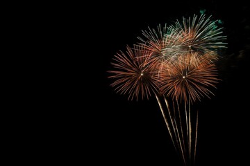 Obraz premium Colorful Fireworks Display on a Dark Background