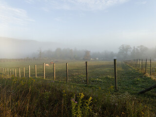 Obraz premium Tranquil scene of farmland upstate New York, showcasing beauty of autumn foggy mornings