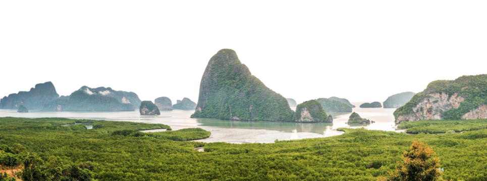 landscape with mountains and trees isolated background