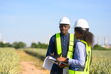 Fototapeta premium Engineer is using a mobile app to track the growth of pineapples on his farm.
