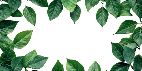 Fototapeta premium Vibrant Green Leaf Frame
