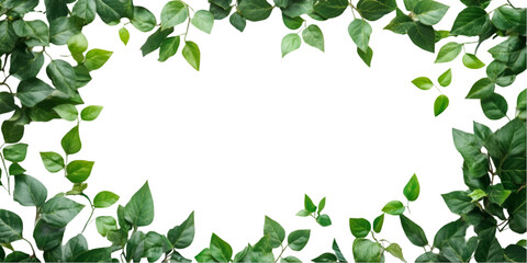Fototapeta premium Vibrant Green Leaf Frame