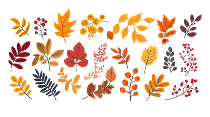 Autumn leaves hand drawn collection isolated on white