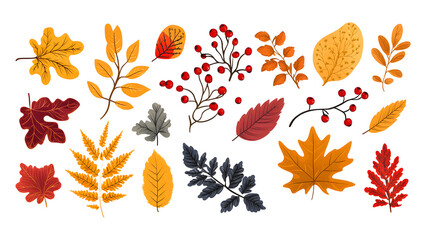 Fototapeta premium Autumn leaves hand drawn collection isolated on white