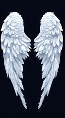 White angel wings on a black background, front view