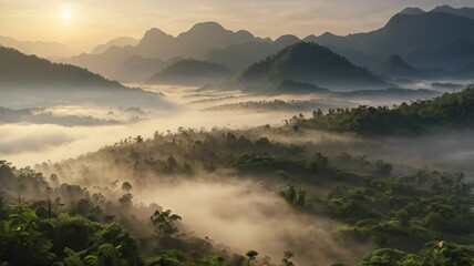 Misty fog in the forest, trees, mountains. Fog in nature. winter morning.