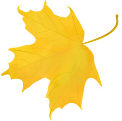 yellow leaf