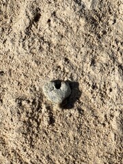 Heart shaped rock