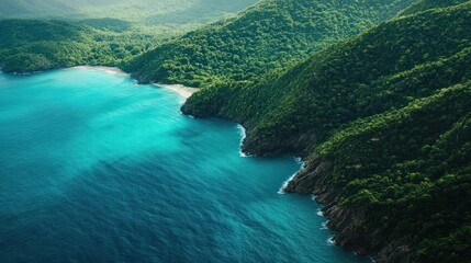 Breathtaking aerial view of a dense forest coastline meeting a turquoise sea