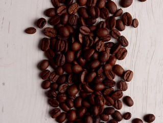 coffee beans farm harvest photo cafe dark aroma arabica plant cup garden vietnam breakfast drink art